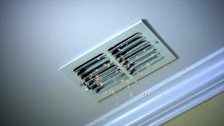 Best Ductwork Cleaning Services  in Dasher, GA