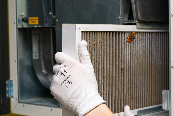 Best Commercial HVAC Duct Cleaning  in Dasher, GA
